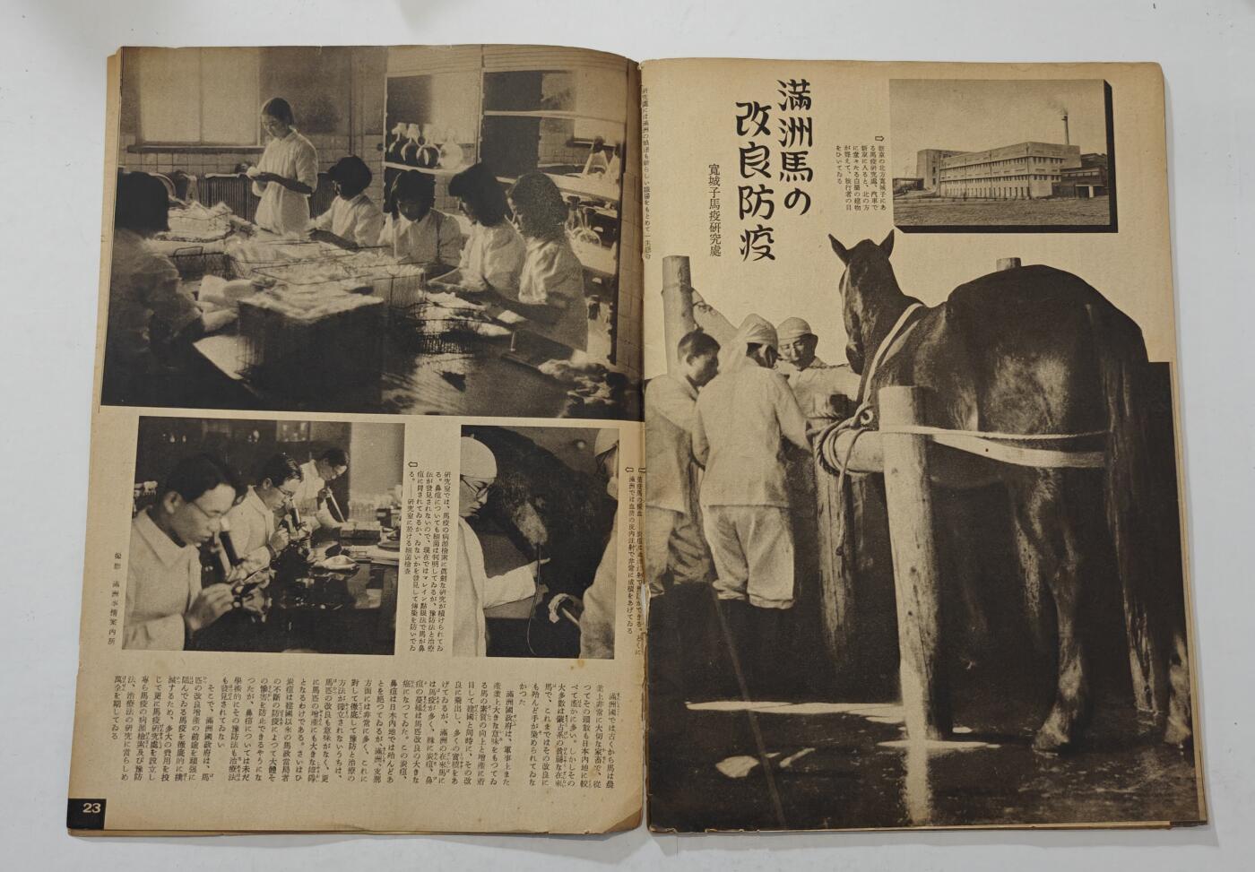 东亚勋章徽章主题拍卖7（80件） 战时日本情报局写真周报（一本周报20页左右 只展示部分）（本期海军 再建维西法国 满洲马改良 填线宝宝募集 等 ）