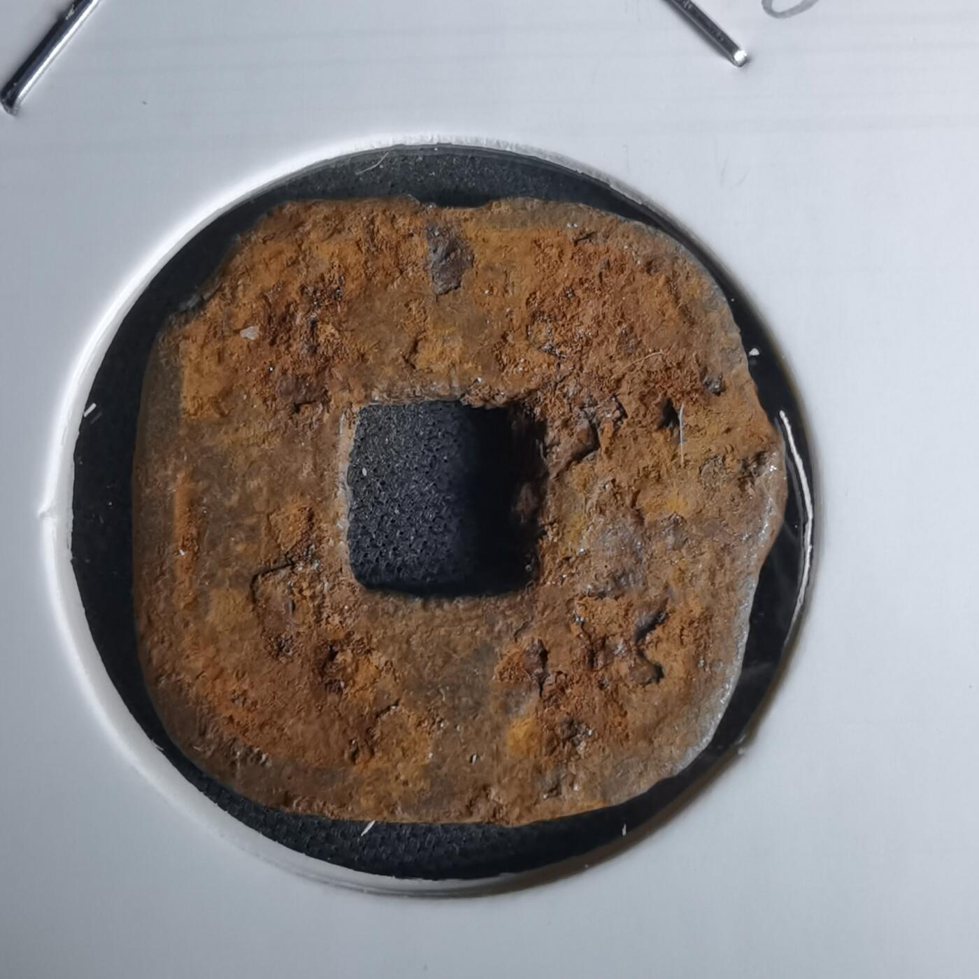 沼泽如烟--第980场