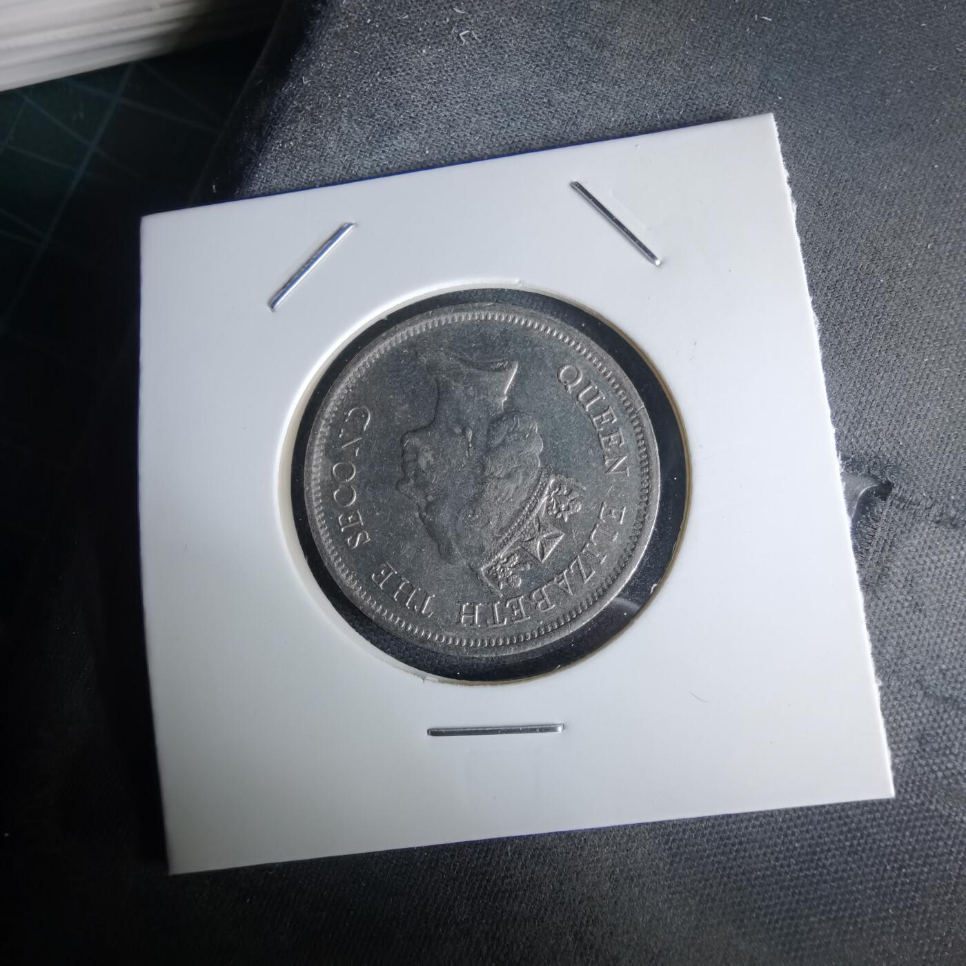 沼泽如烟--第980场