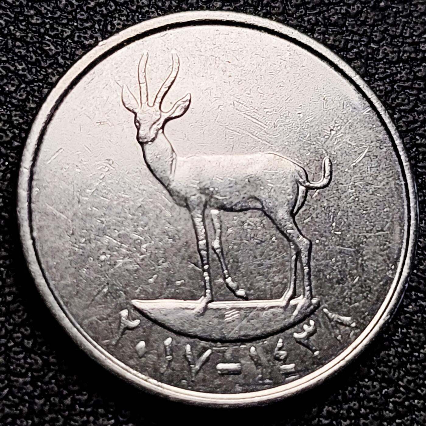 泉币菌-第179场- 精品福利场