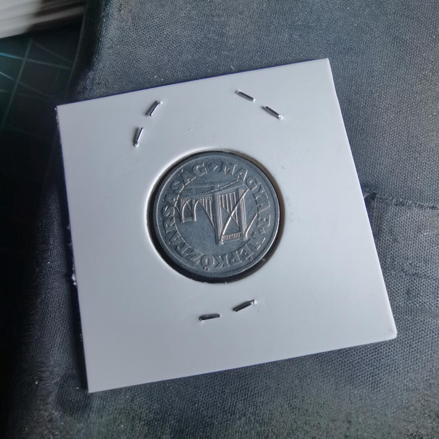 沼泽如烟--第980场