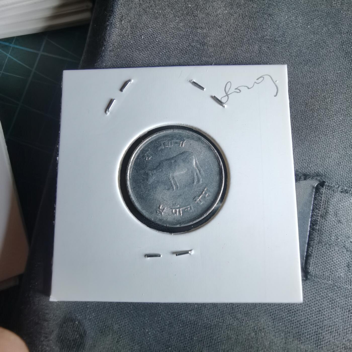 沼泽如烟--第980场