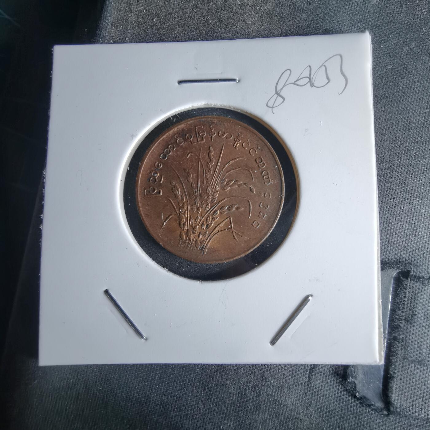 沼泽如烟--第980场