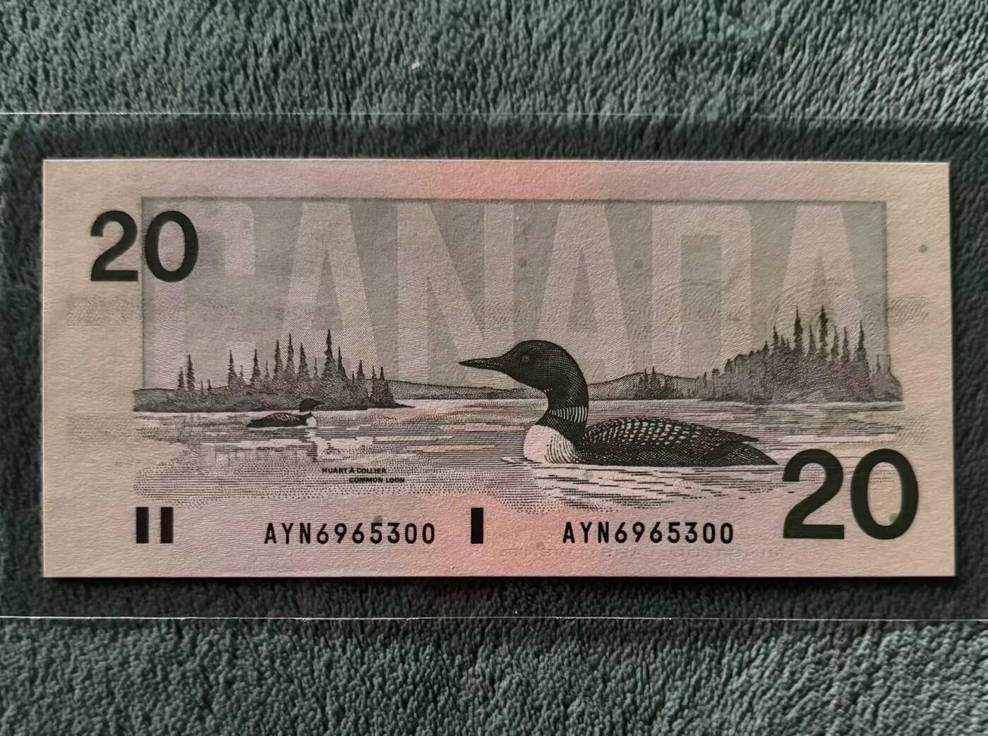 【礼羽收藏】🌏世界钱币拍卖第122期