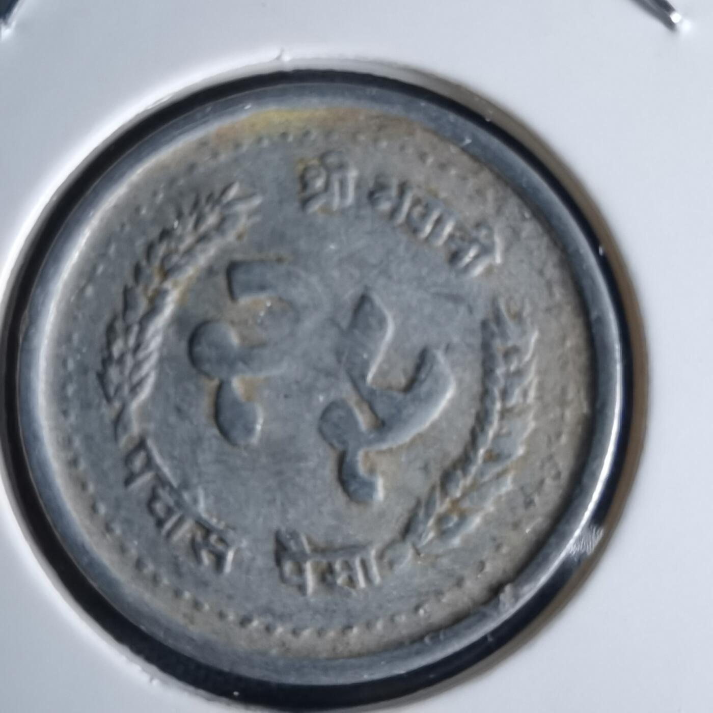 沼泽如烟--第980场