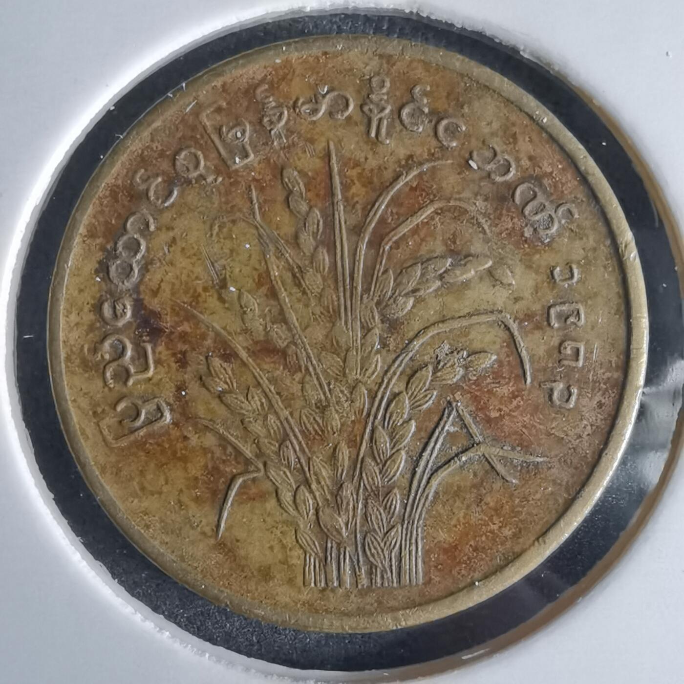 沼泽如烟--第980场