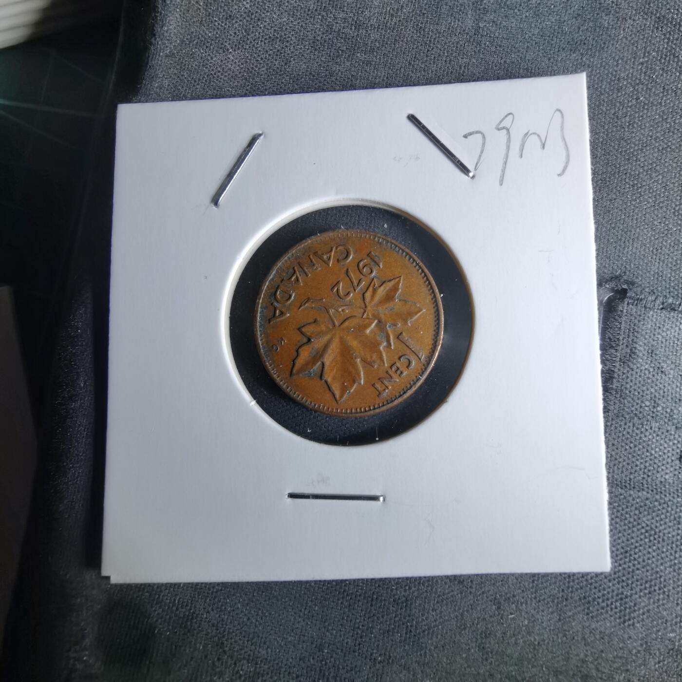 沼泽如烟--第979场