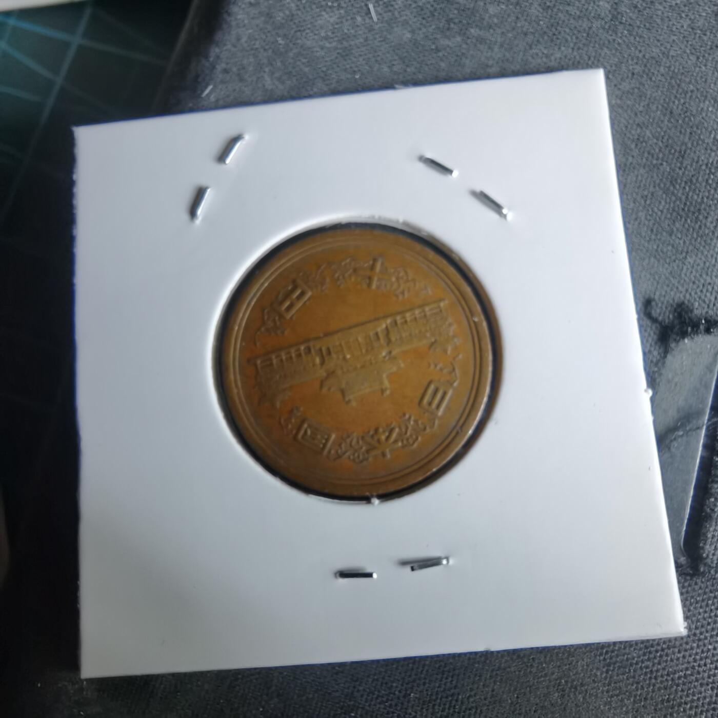 沼泽如烟--第980场