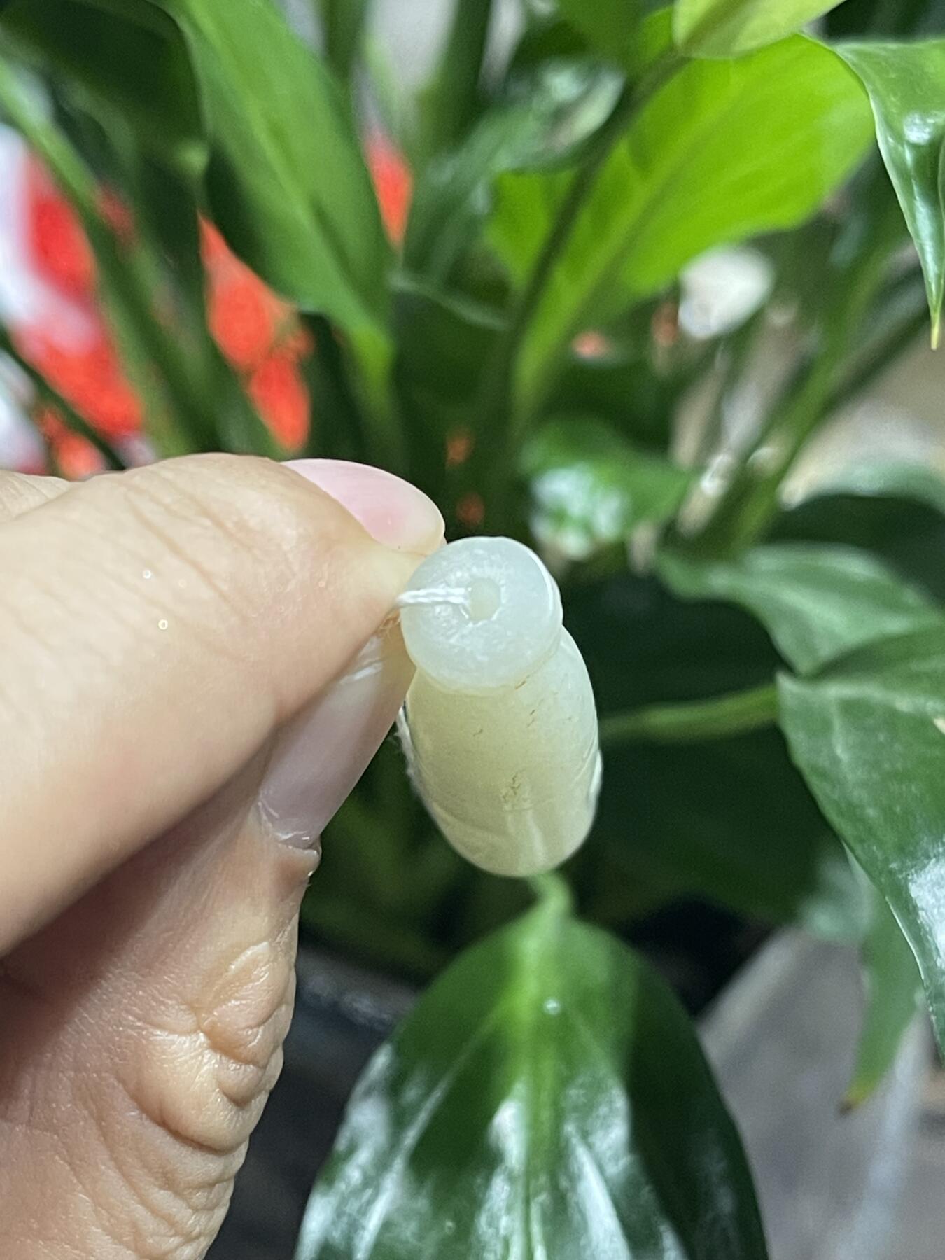 喵了个咪的第二期玉器杂项拍卖