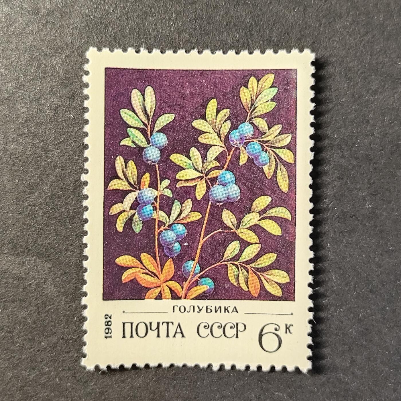 ↓君缘收藏727期☞钱币邮品↓无佣金、可寄存、满30元包邮  苏联邮票