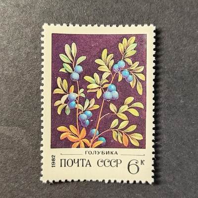 ↓君缘收藏727期☞钱币邮品↓无佣金、可寄存、满30元包邮  - 苏联邮票