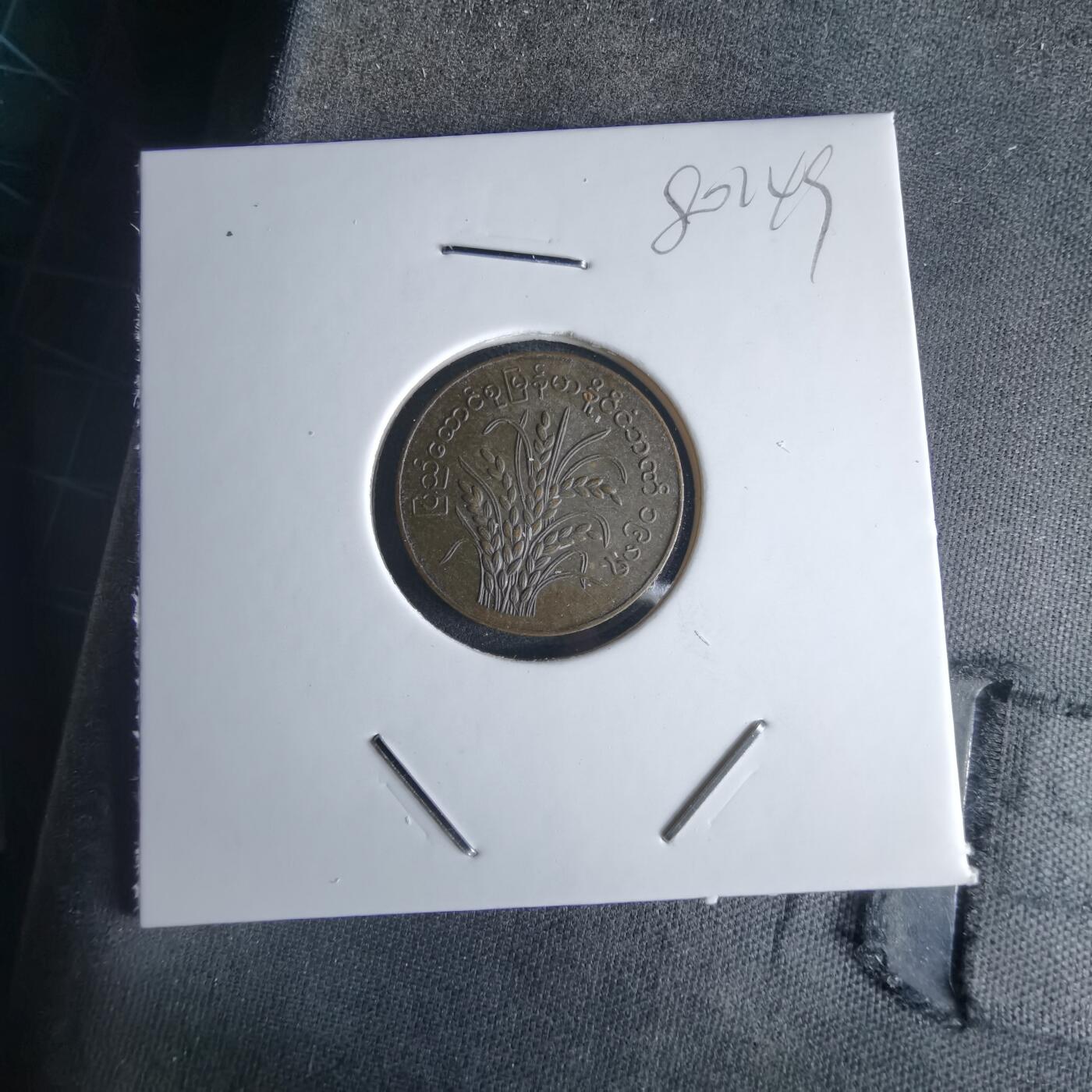 沼泽如烟--第980场