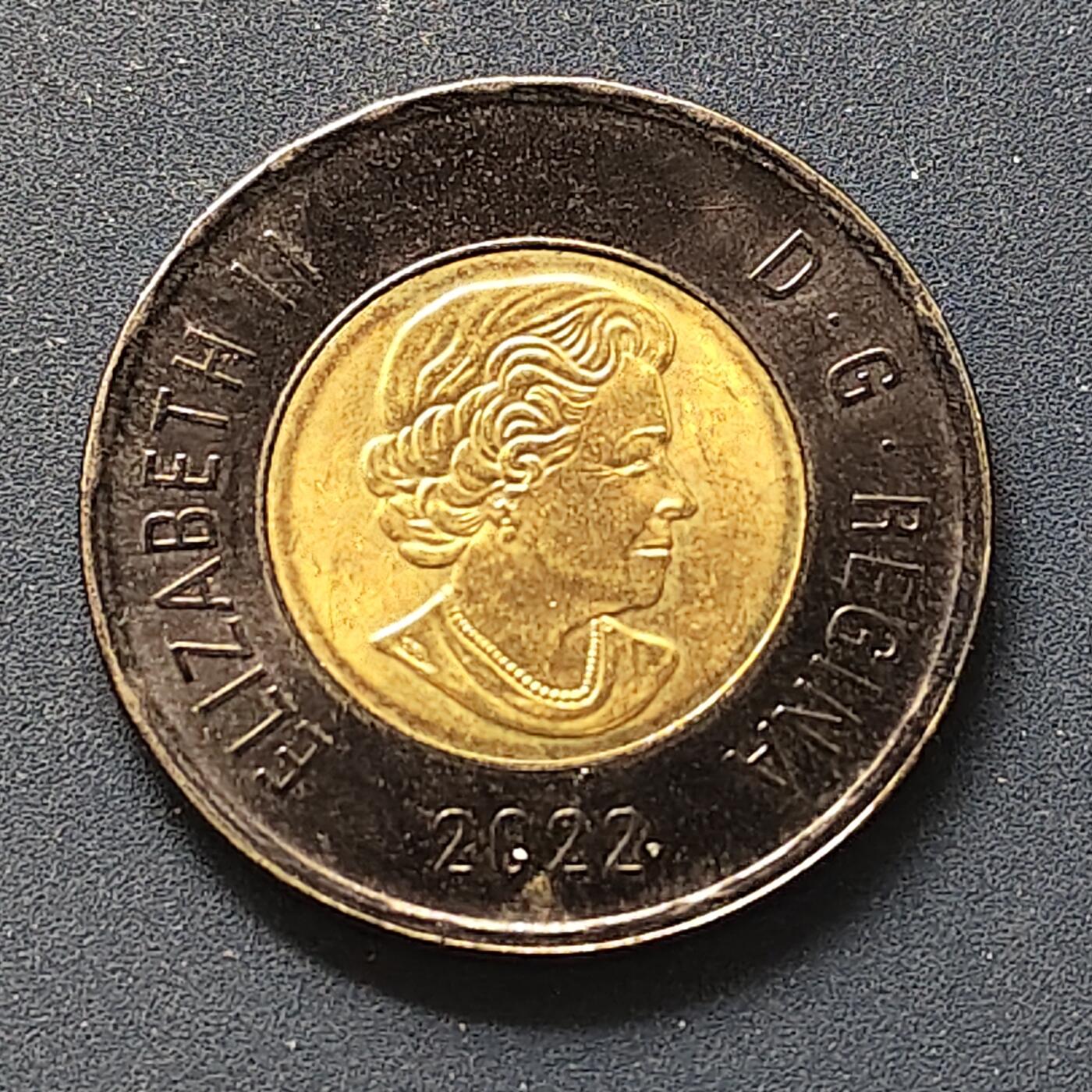 【全场包邮】纯粹捡漏拍498场-持续更新中