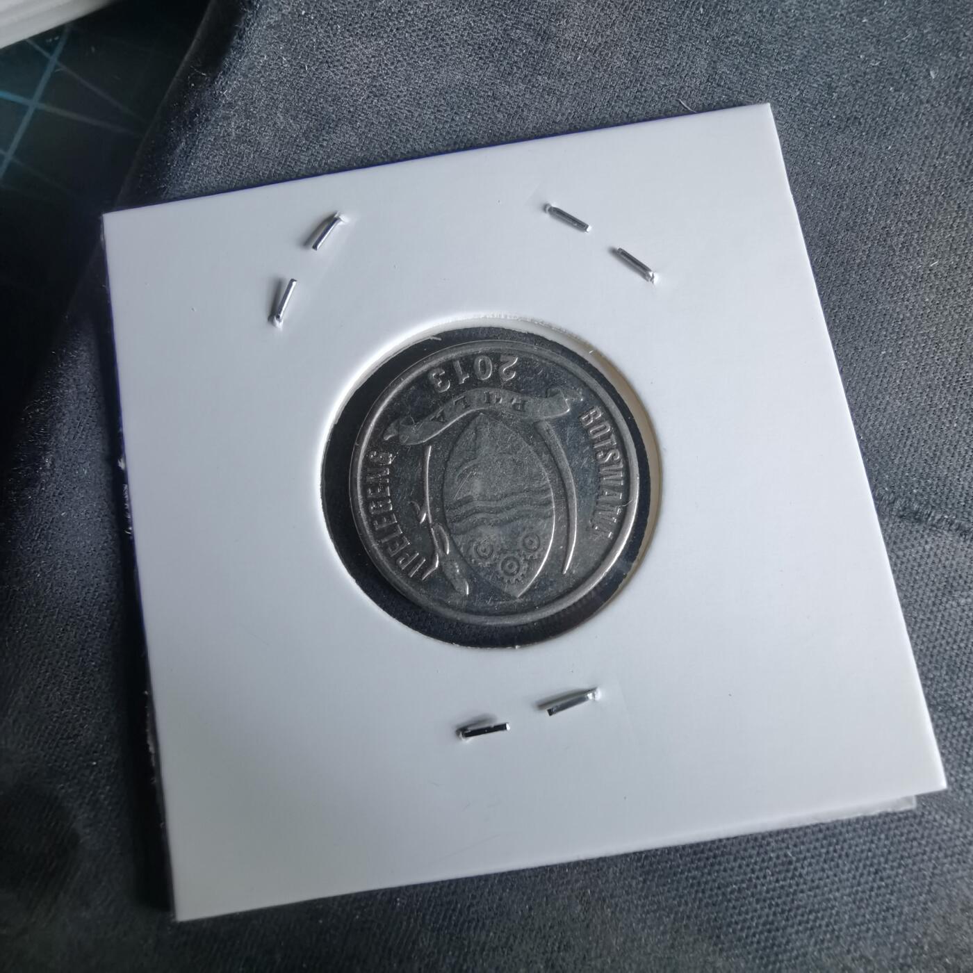 沼泽如烟--第980场