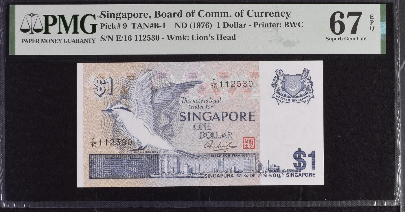 《艾美收藏》第230期-2.1周日外币年前精品场