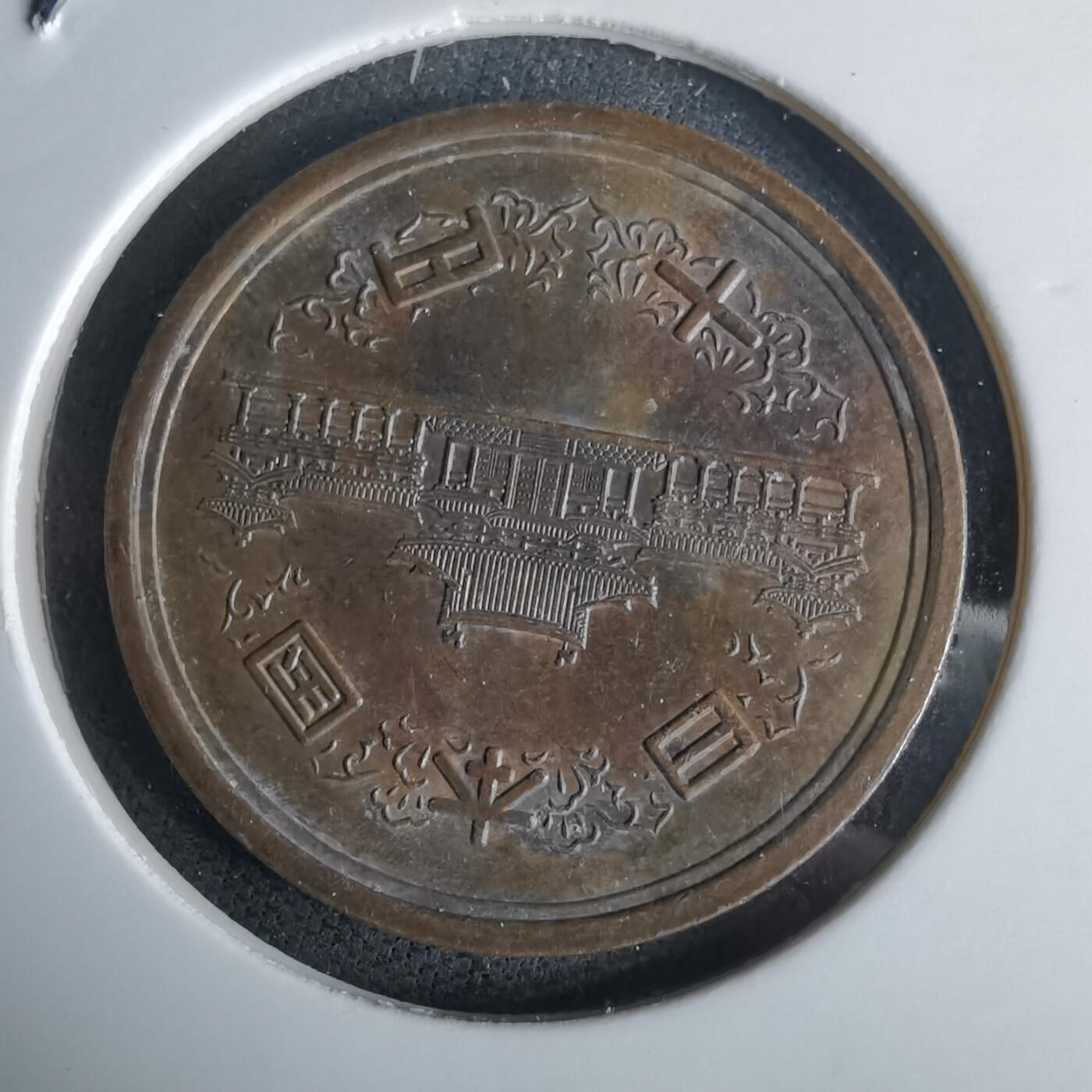 沼泽如烟--第980场