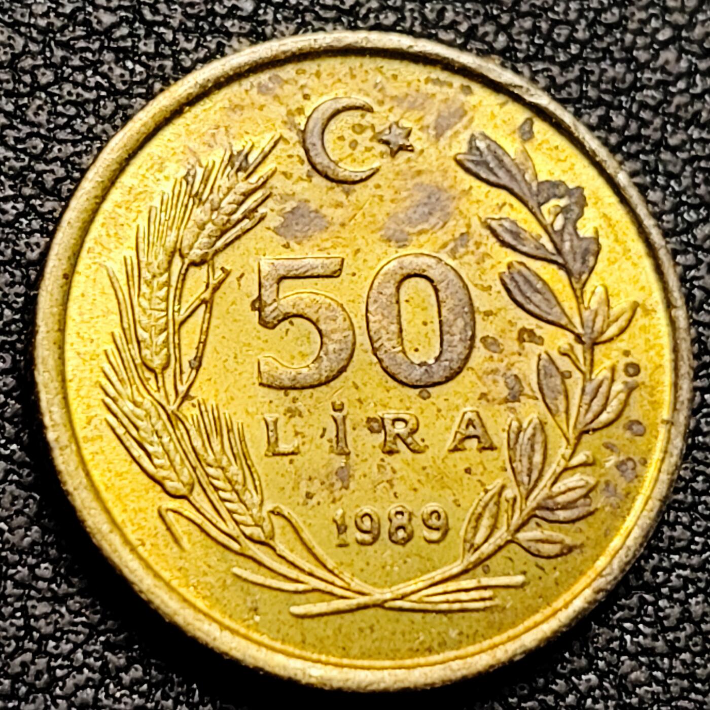 泉币菌-第179场- 精品福利场 。