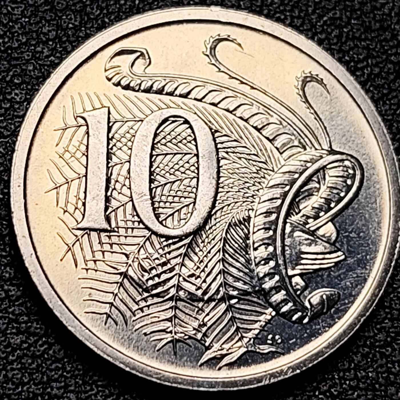 泉币菌-第180场- 精品福利场 。