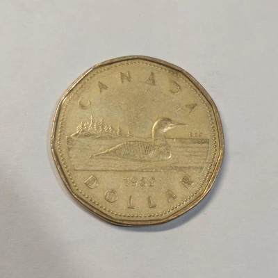 加拿大1987-1989年1元 潜鸟 11边形 镍镀青铜币 26.5mm随机发 - 加拿大1987-1989年1元 潜鸟 11边形 镍镀青铜币 26.5mm随机发