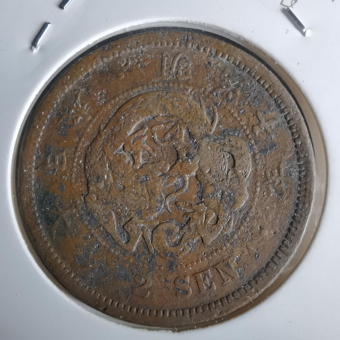 沼泽如烟--第980场