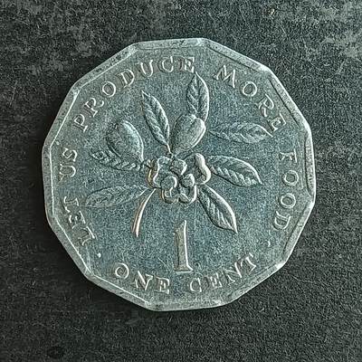 逸泉钱币2026第十四场世界各国散币纪念币A1214-1613 - 1512 牙买加1分异形币