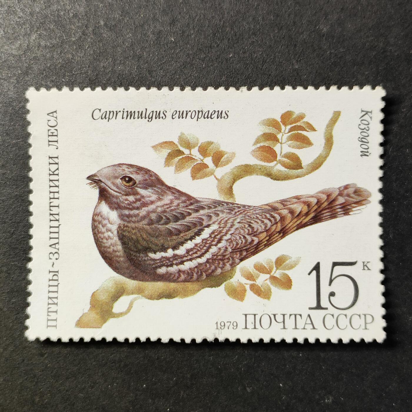 ↓君缘收藏727期☞钱币邮品↓无佣金、可寄存、满30元包邮  苏联邮票