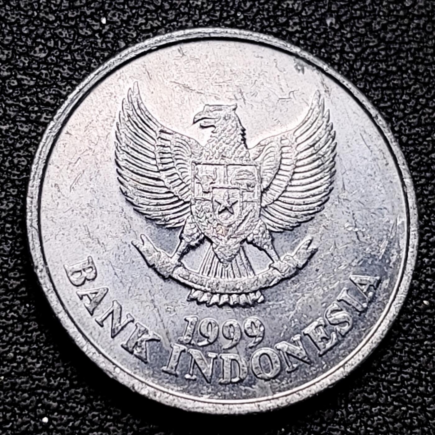 泉币菌-第179场- 精品福利场