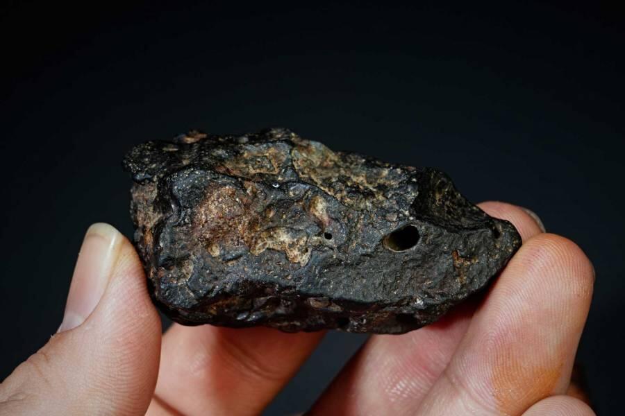 上海都达杂项专场十二（全场包邮】 陨石连座89-2