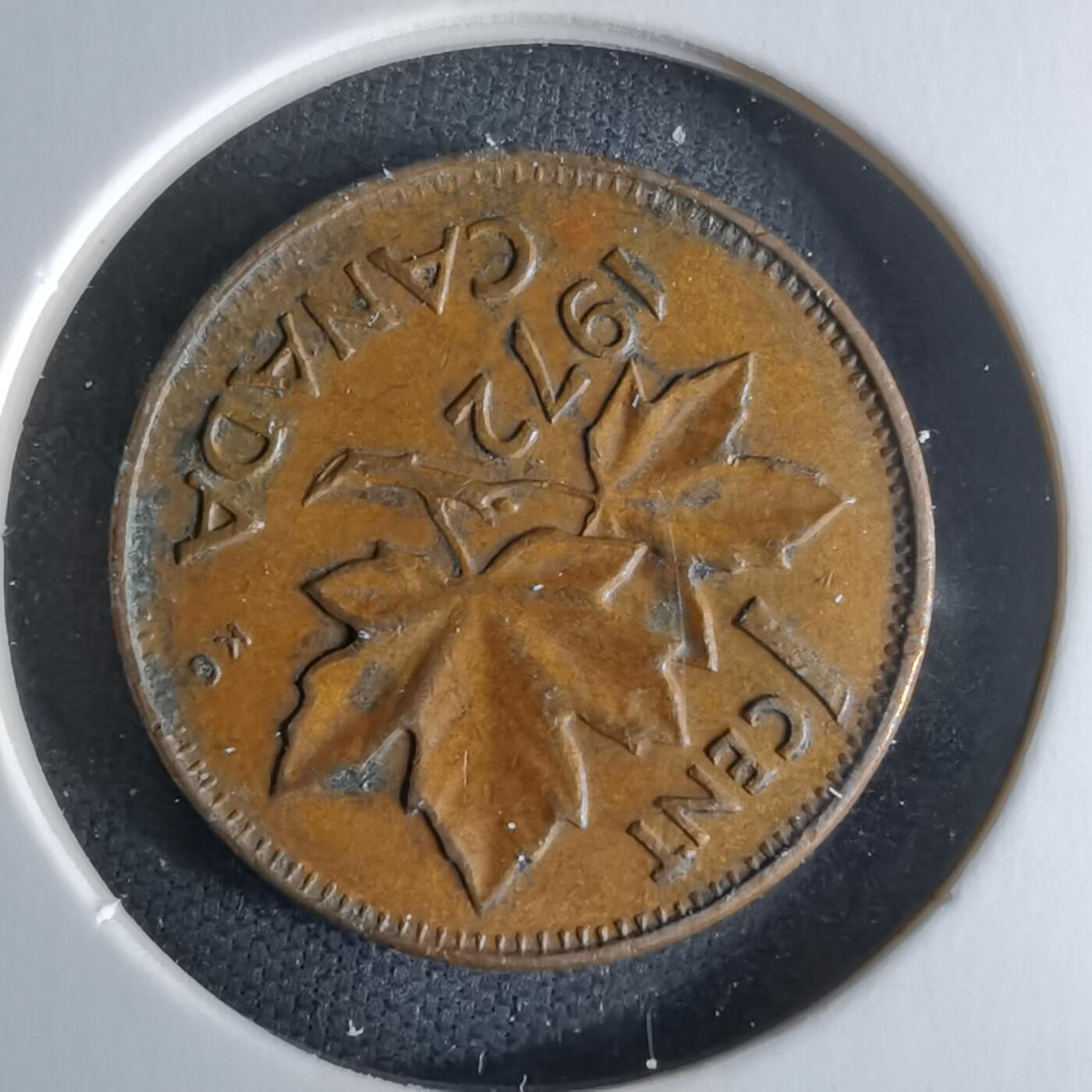 沼泽如烟--第979场