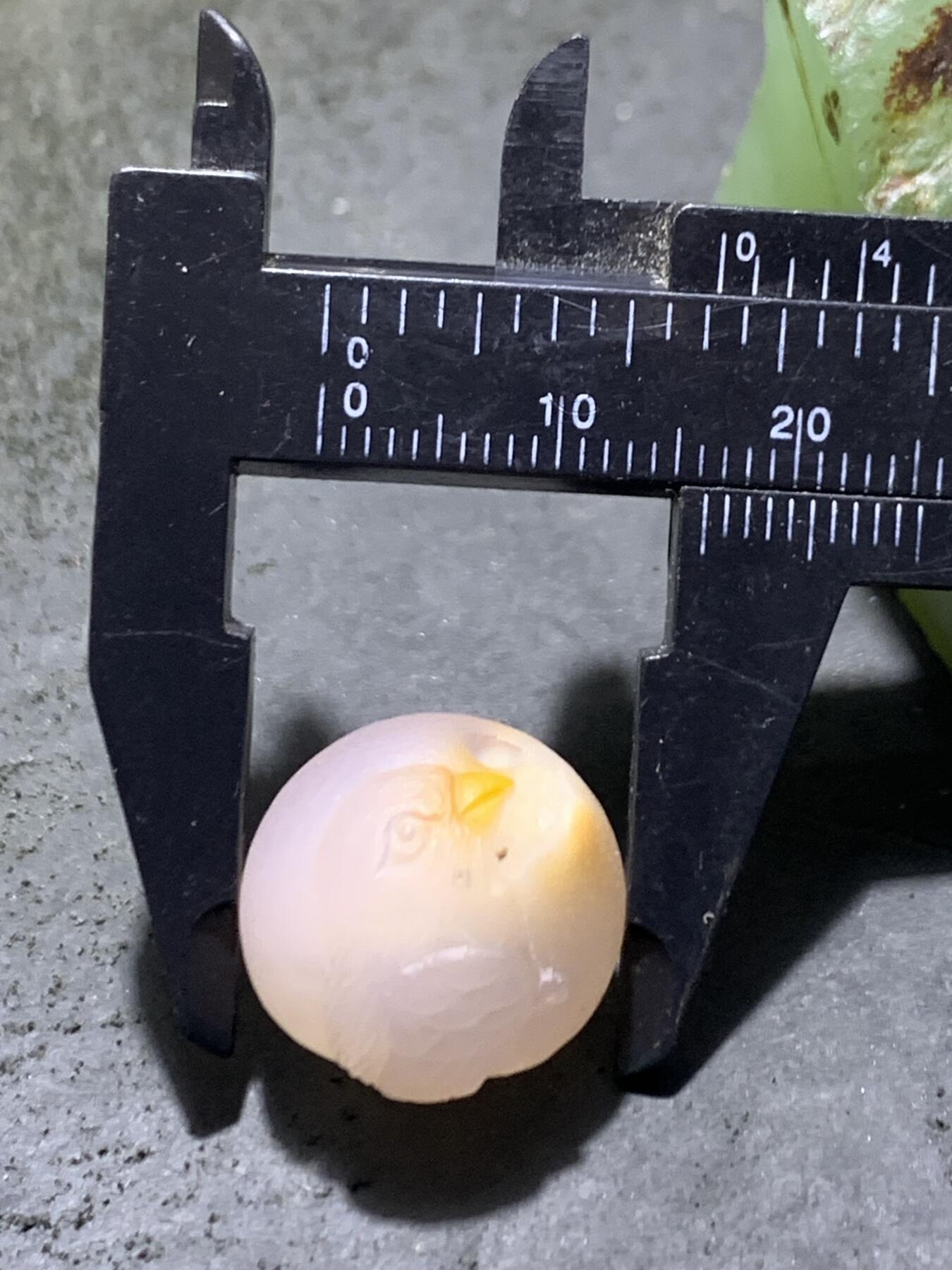 精美冰飘亚光战国红玛瑙手工俏色巧雕喜鹊报喜随形珠一个