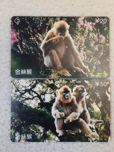 易卡拍卖第74期 - 金丝猴。（精品地方卡系列）易卡五星⭐️标。如图所示！