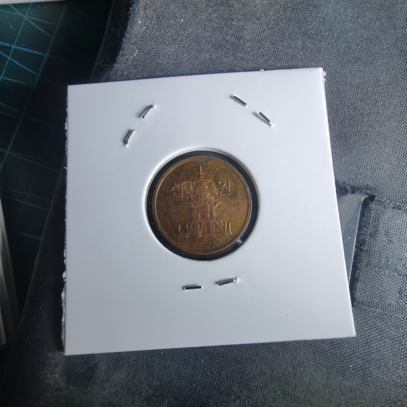 沼泽如烟--第980场