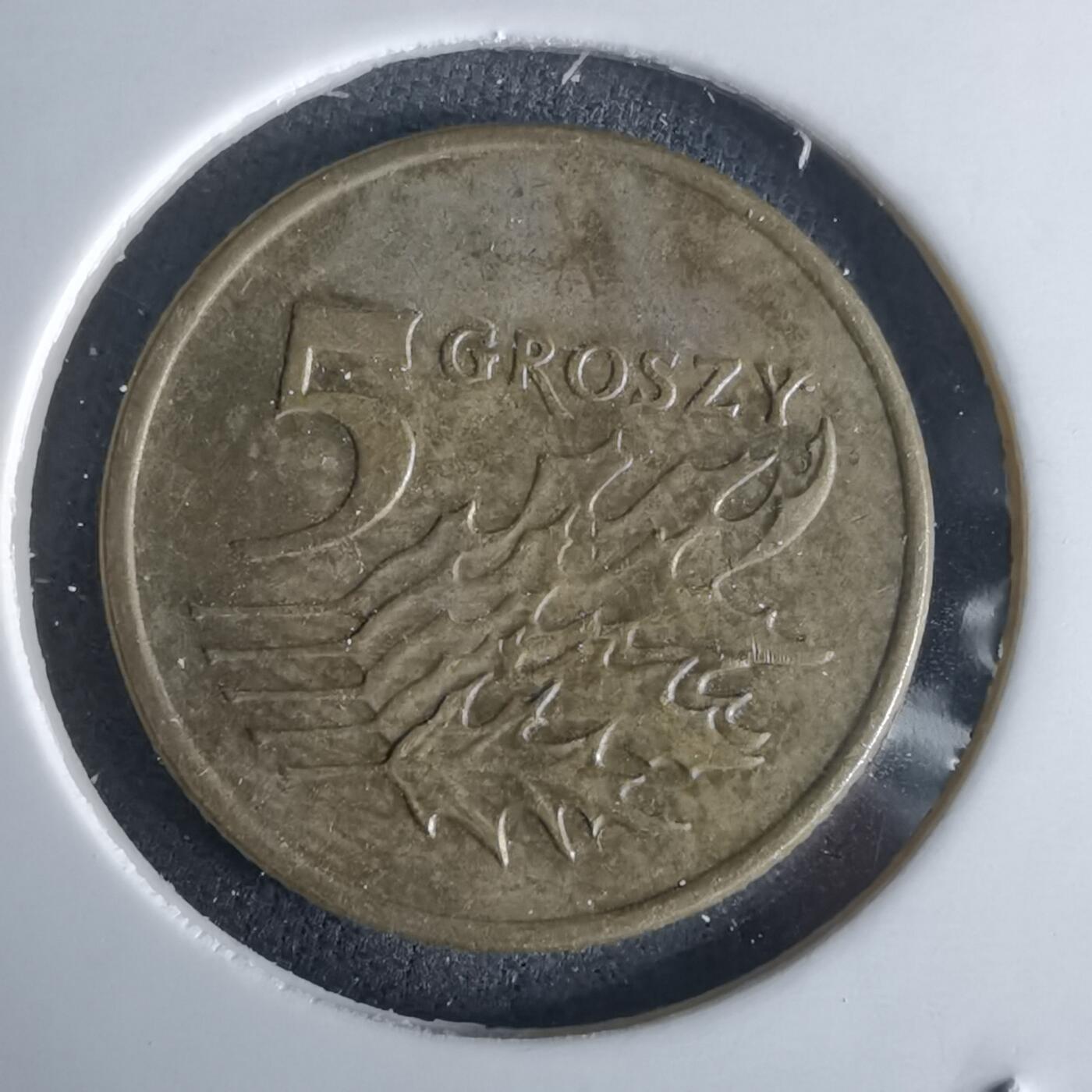 沼泽如烟--第980场 波兰1993年5格罗申