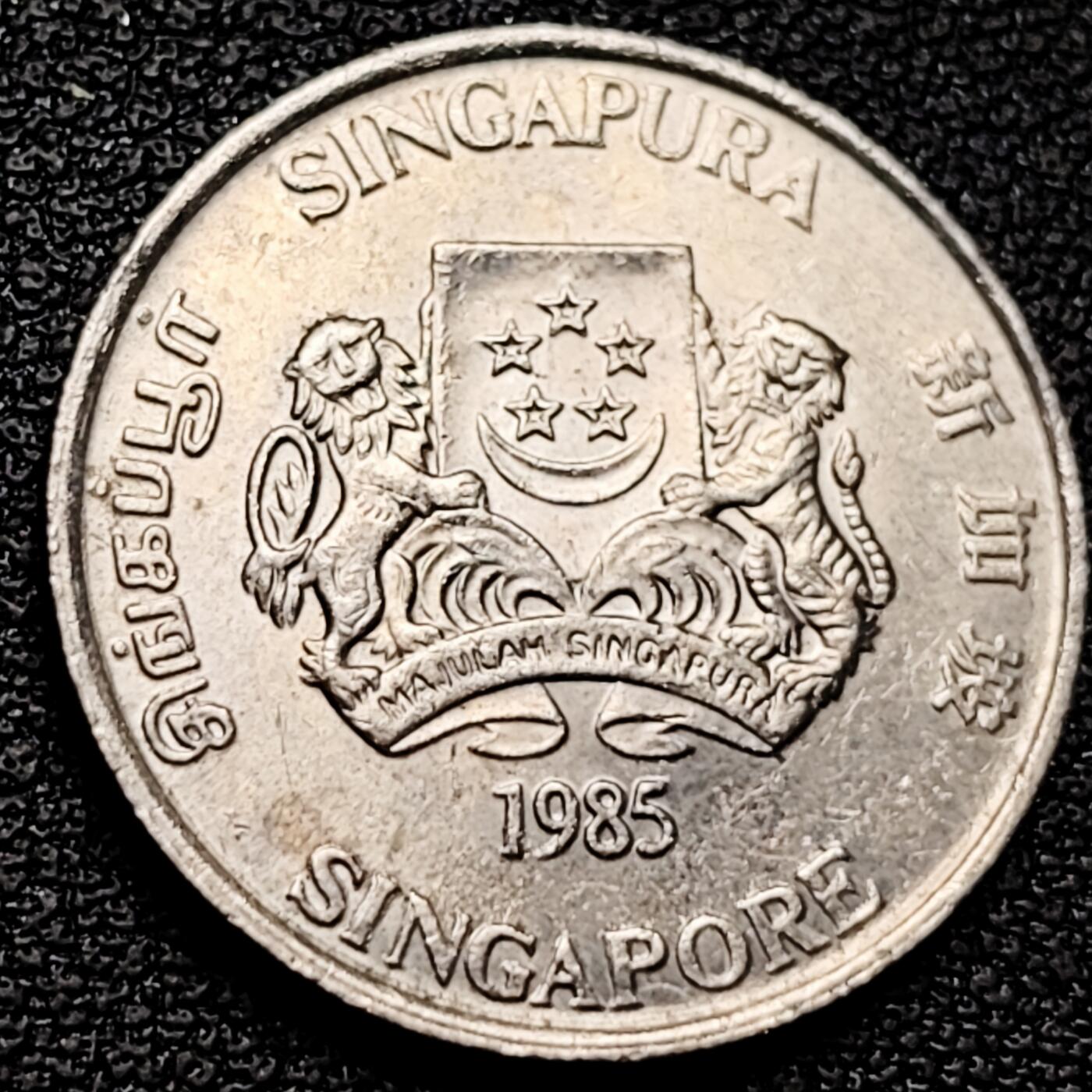 泉币菌-第179场- 精品福利场 。