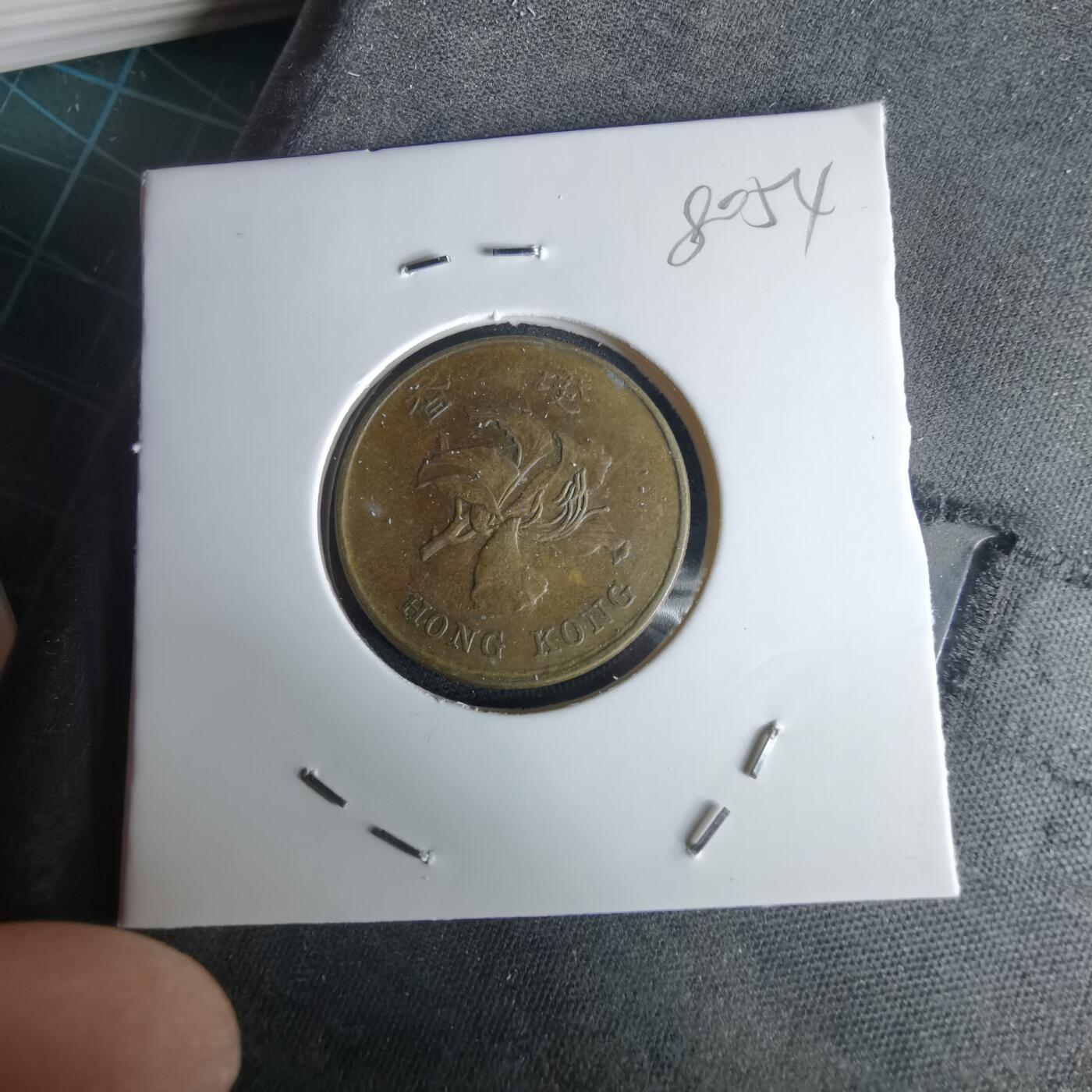 沼泽如烟--第980场