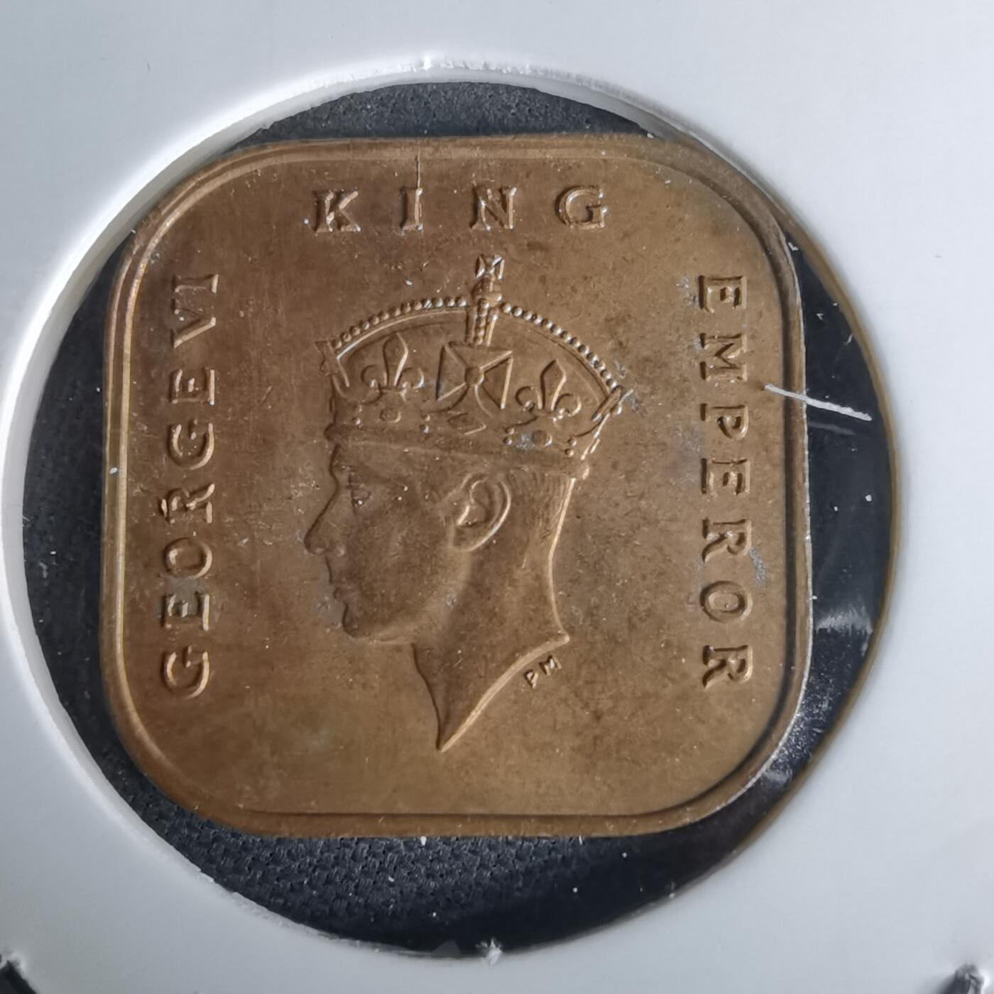 沼泽如烟--第980场