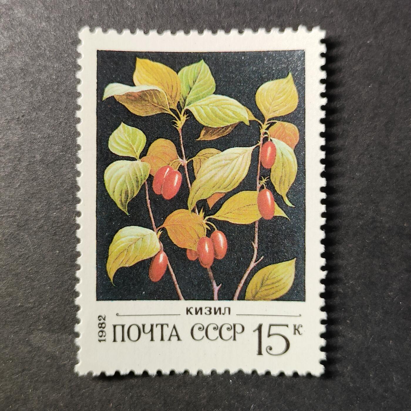 ↓君缘收藏727期☞钱币邮品↓无佣金、可寄存、满30元包邮  苏联邮票