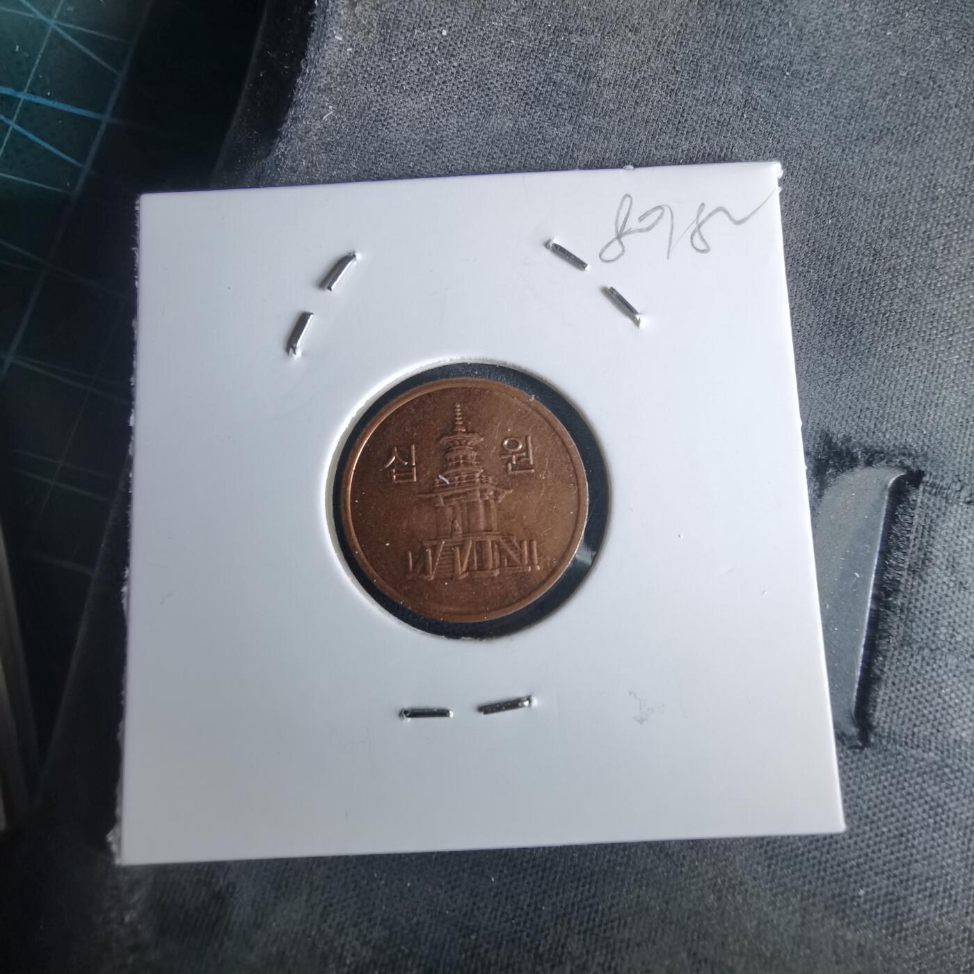 沼泽如烟--第980场