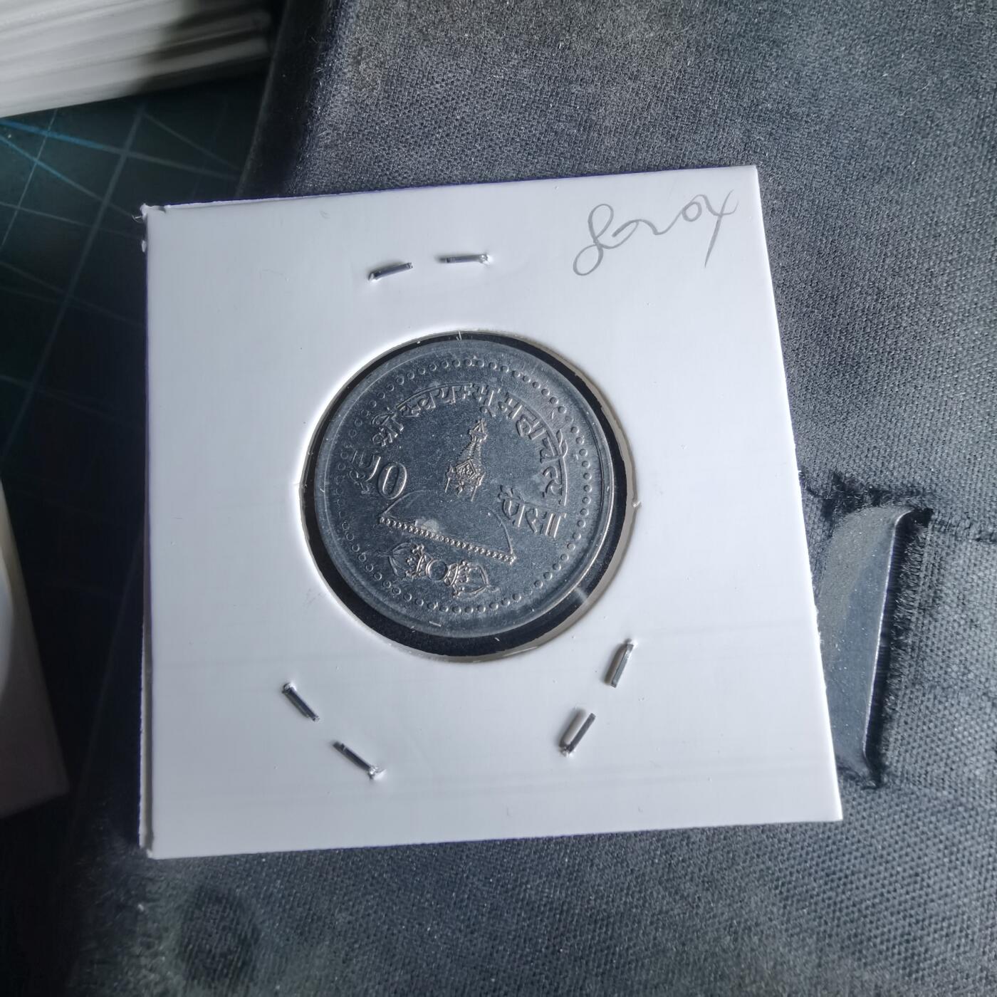 沼泽如烟--第980场