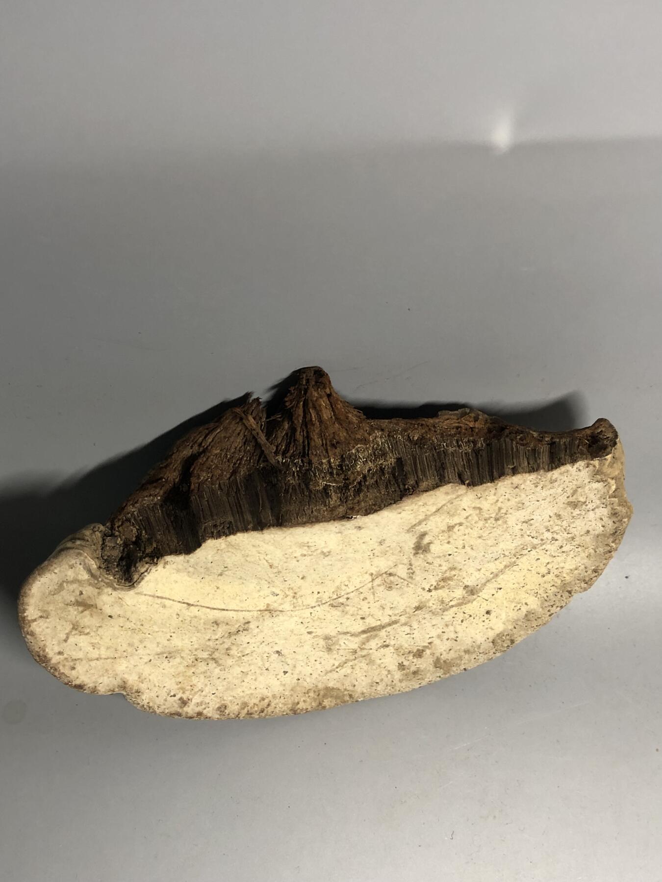 第五期杂项配饰拍卖 捡来的不只是啥