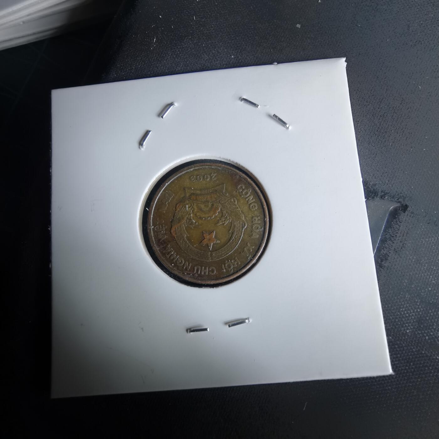 沼泽如烟--第980场