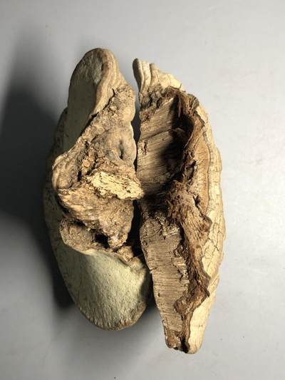 第五期杂项配饰拍卖 - 捡来的不只是啥