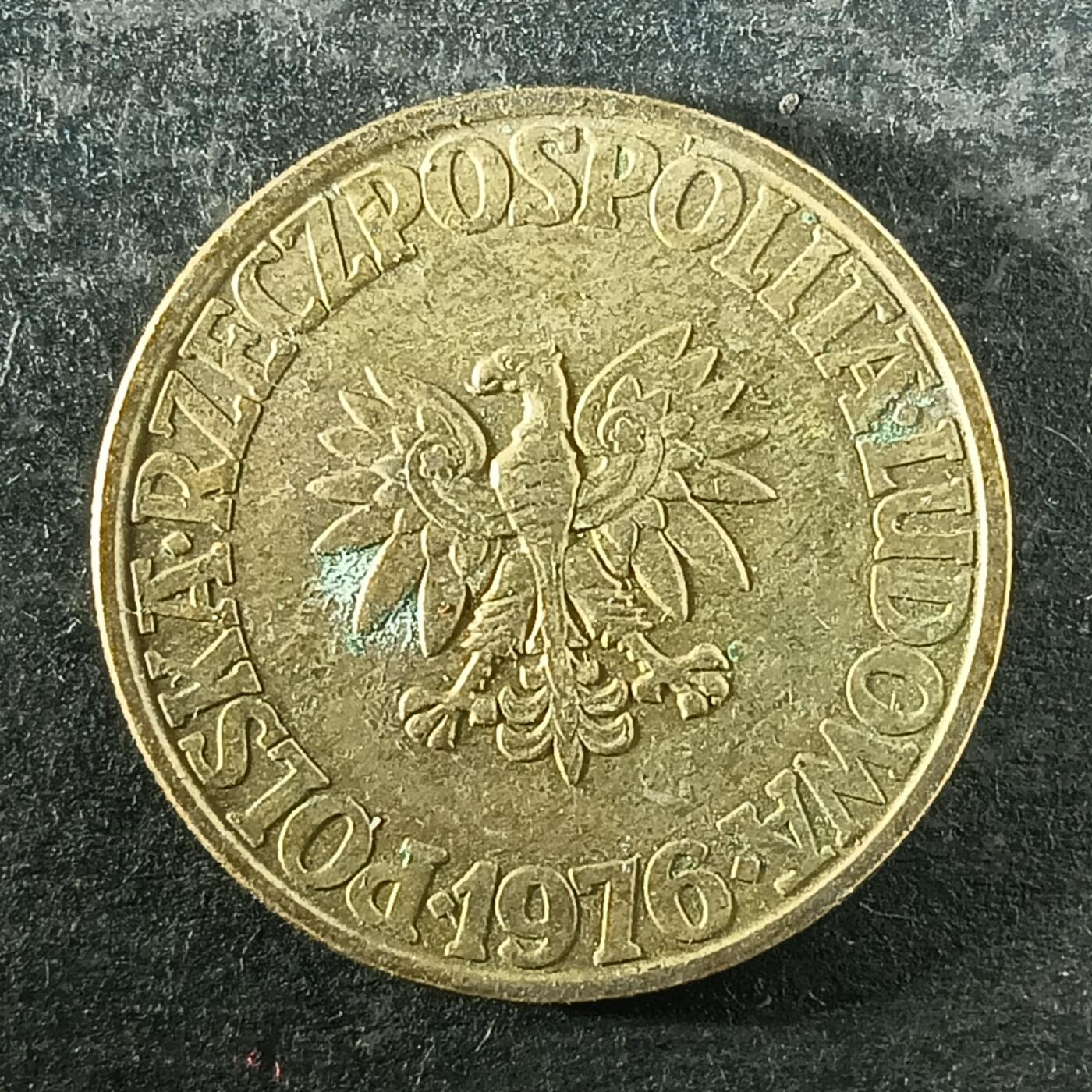 逸泉钱币2026第十四场世界各国散币纪念币A1214-1613 1511 波兰5兹罗提硬币