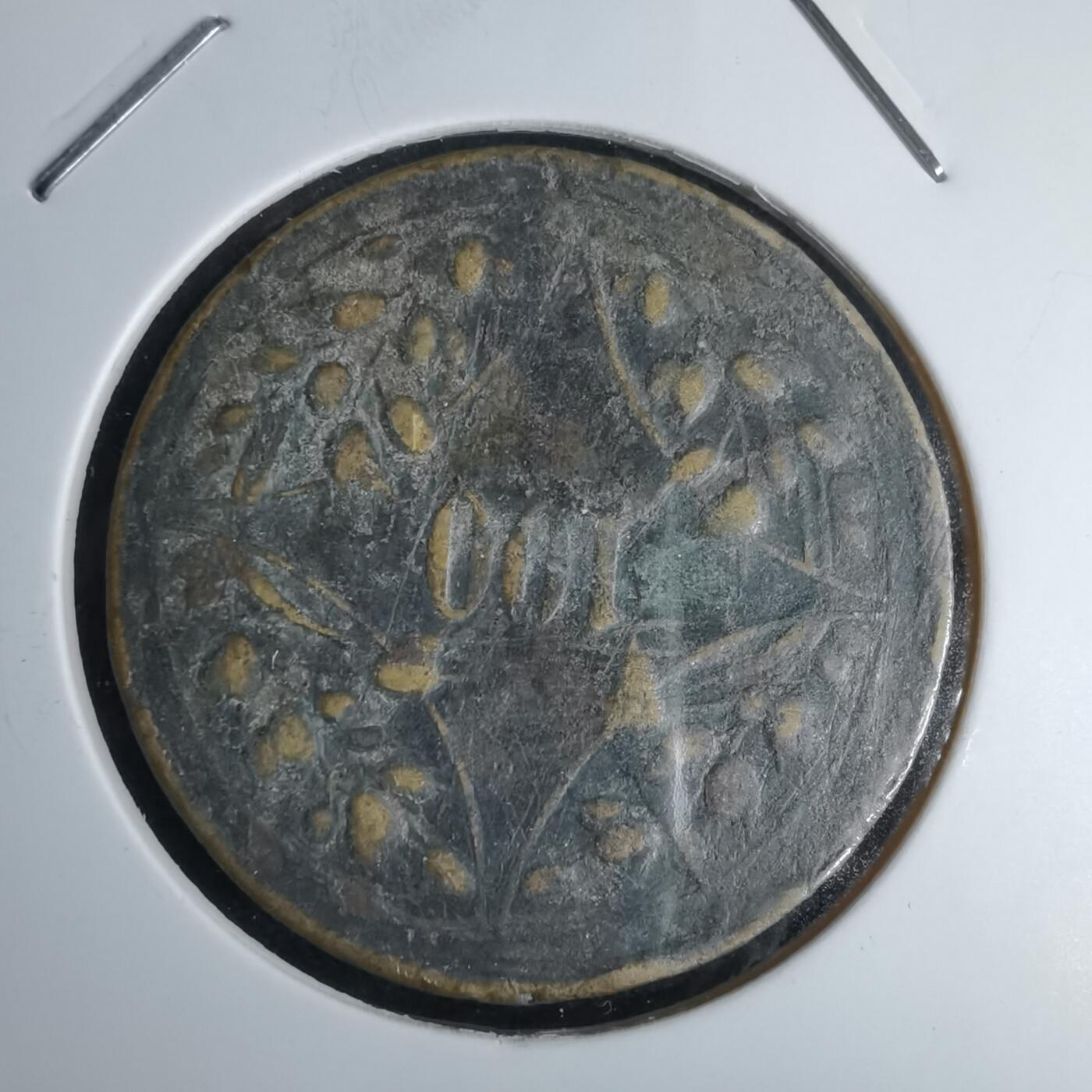 沼泽如烟--第980场