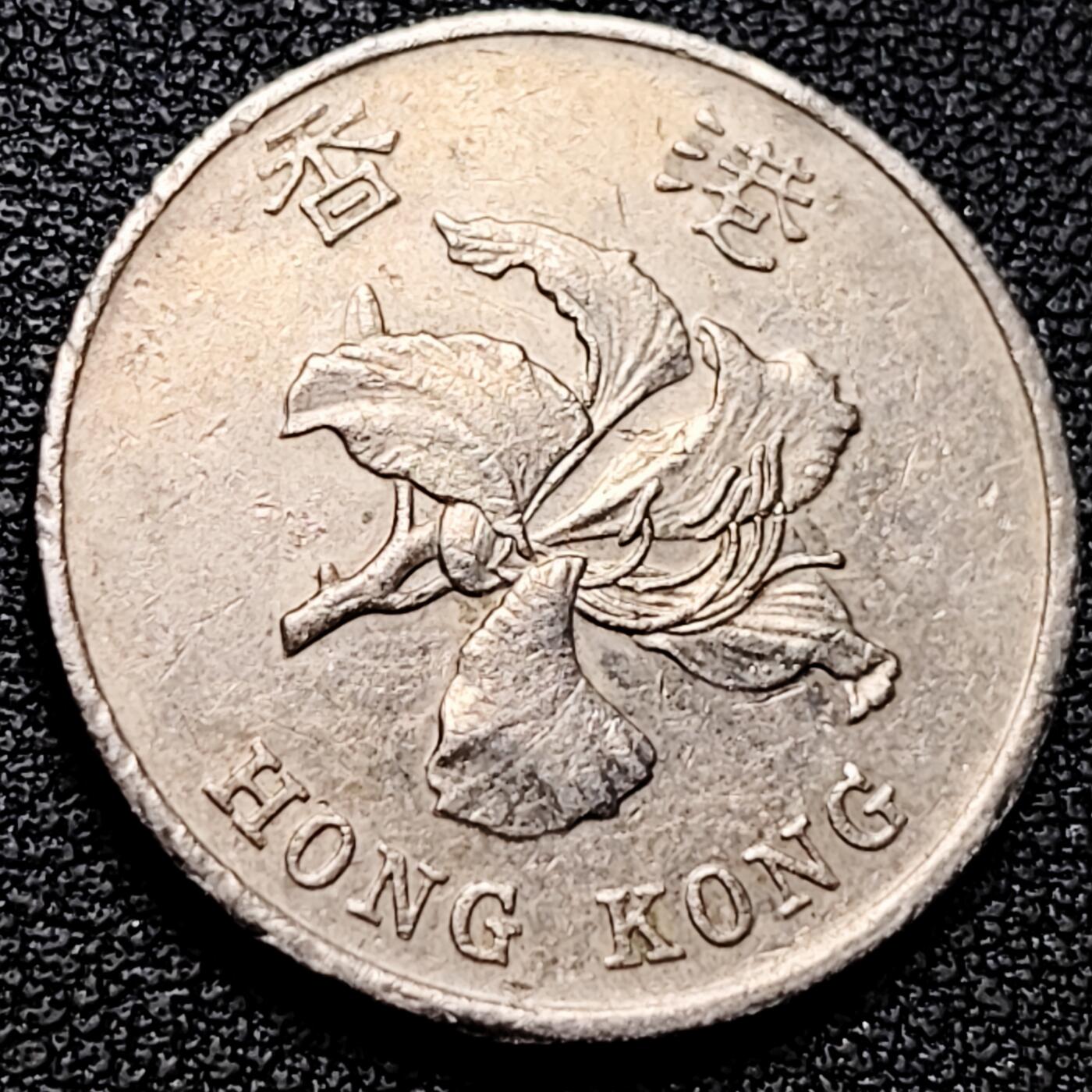 泉币菌-第179场- 精品福利场 。