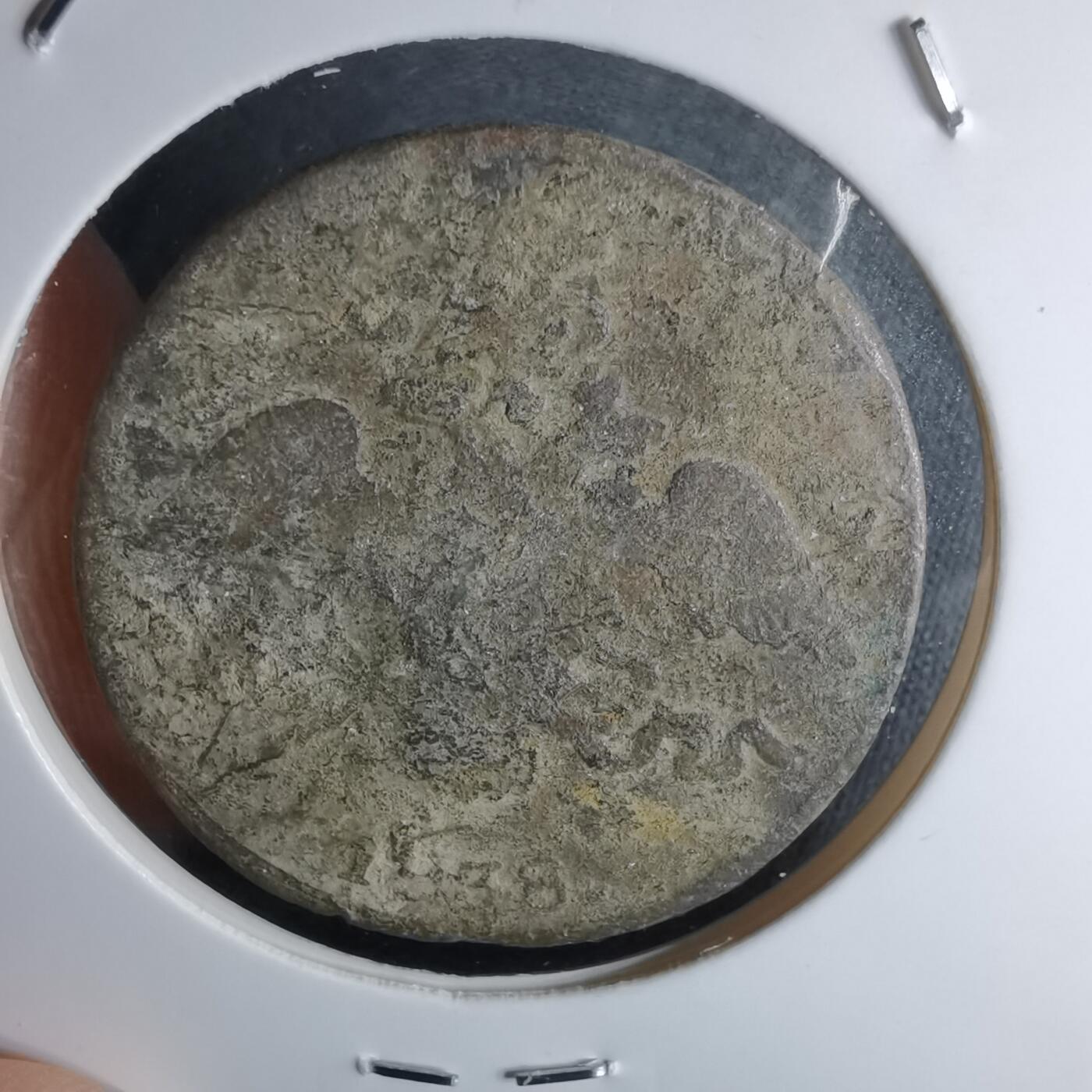 沼泽如烟--第980场