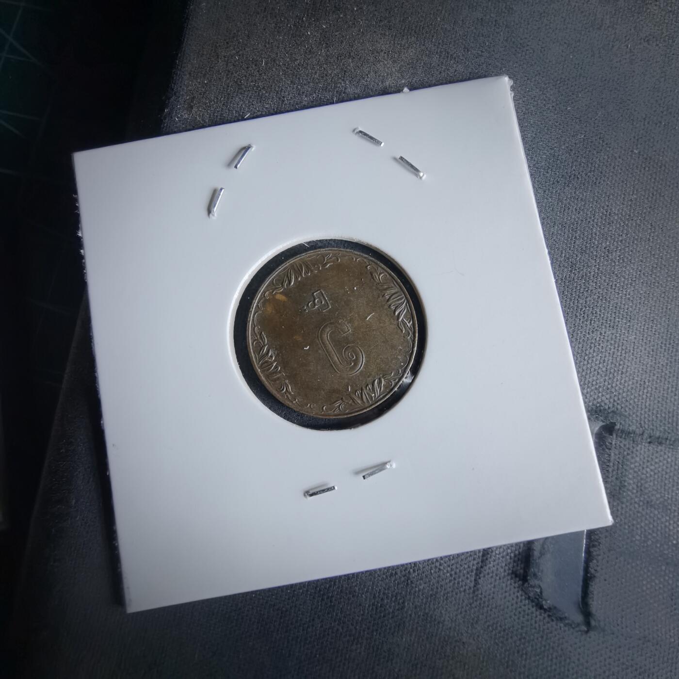 沼泽如烟--第980场