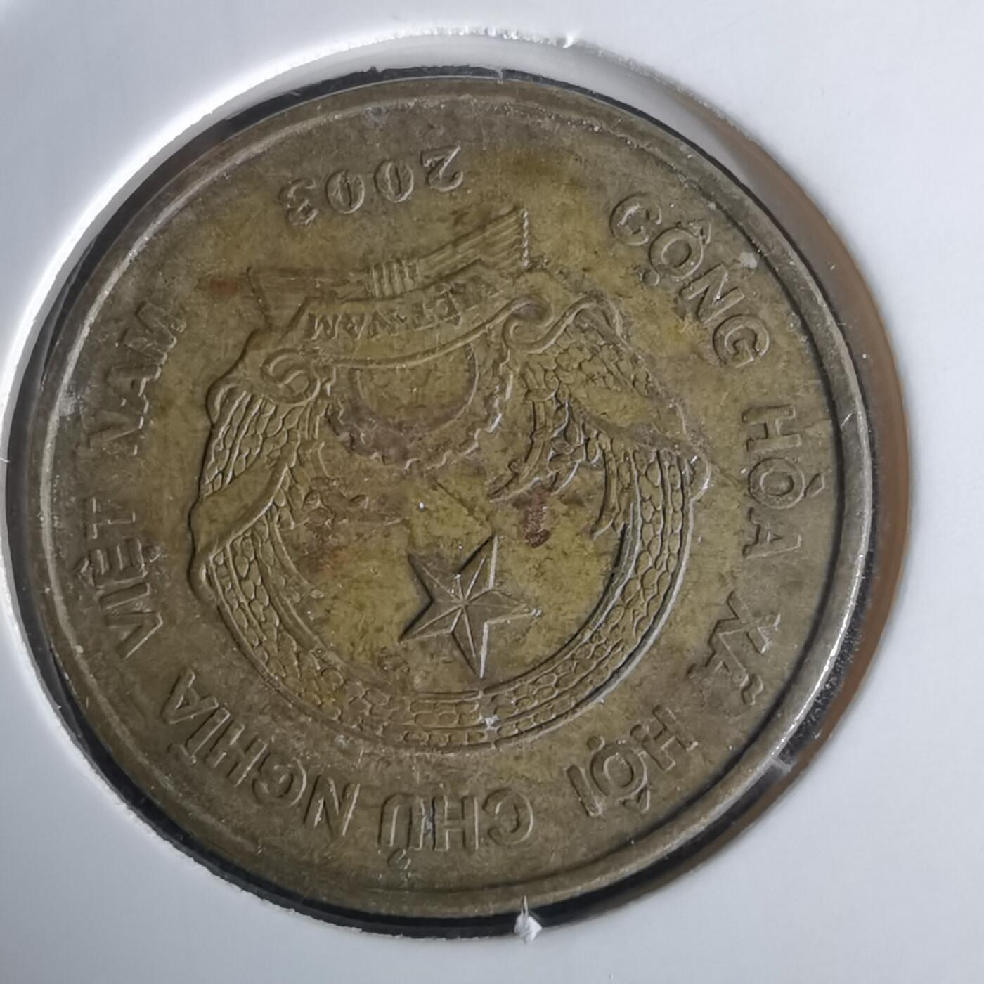 沼泽如烟--第980场