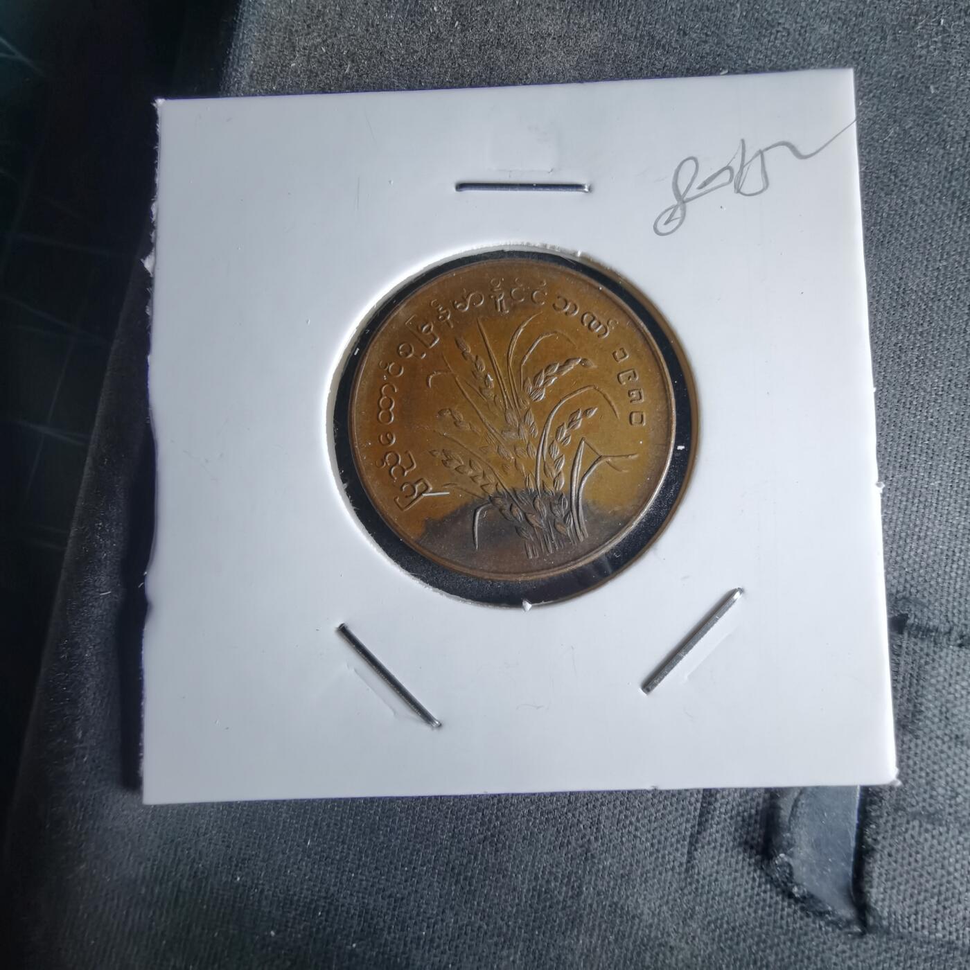 沼泽如烟--第980场