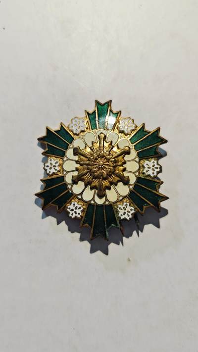 东亚勋章徽章主题拍卖7（80件） - 琦玉县 消防自治二十周年纪念 珐琅